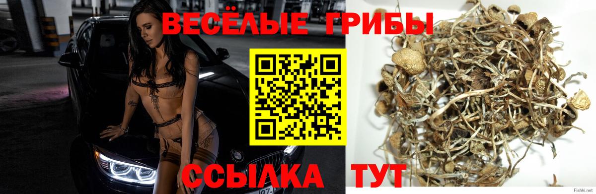 Дедовск  Псилоцибиновые грибы ЛСД  Вход с VPN 